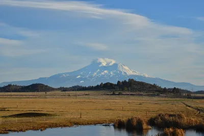 DSC_5998 (Large).JPG